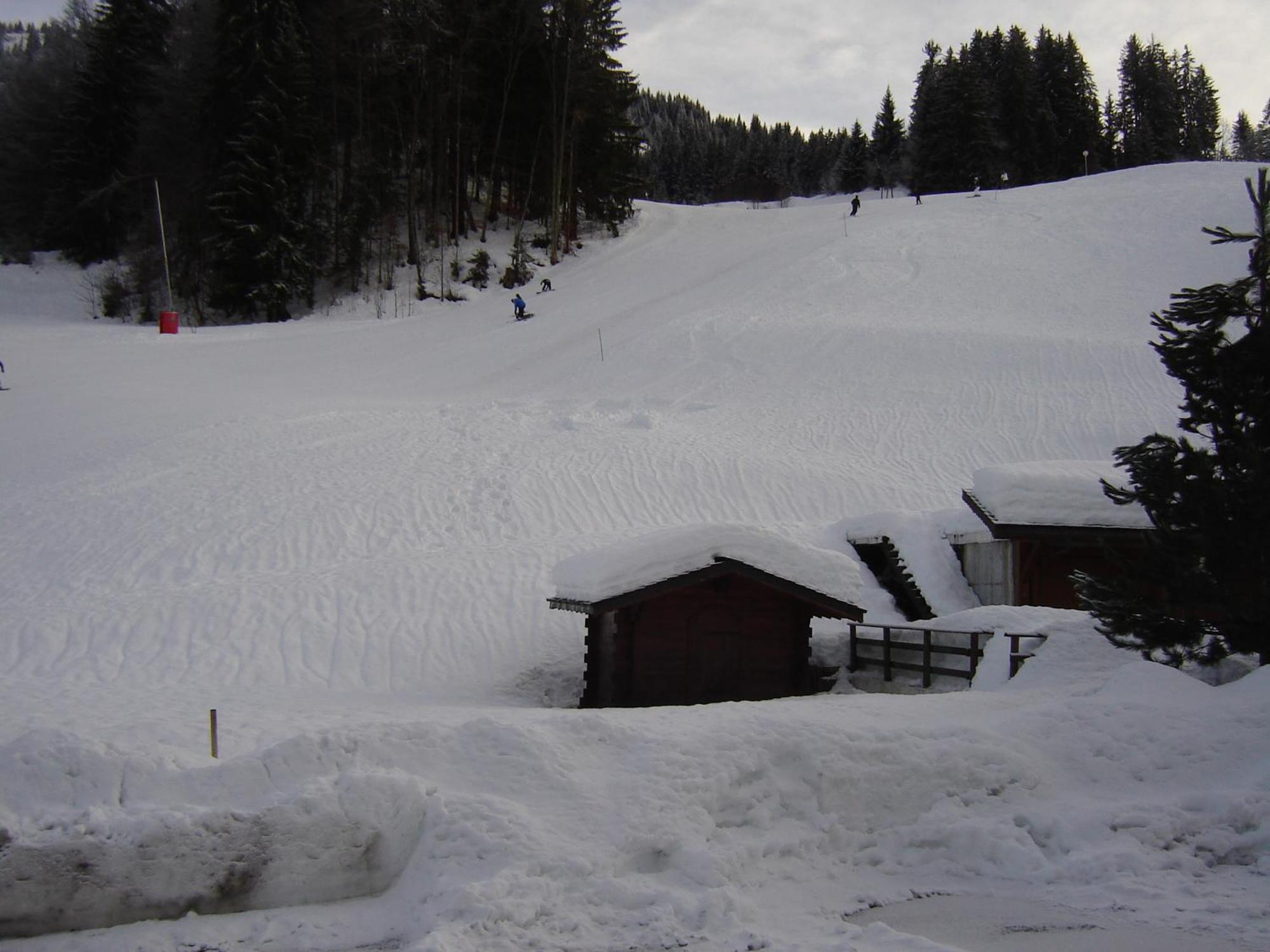 Hôtel Les Bernards Praz-sur-Arly Exterior foto