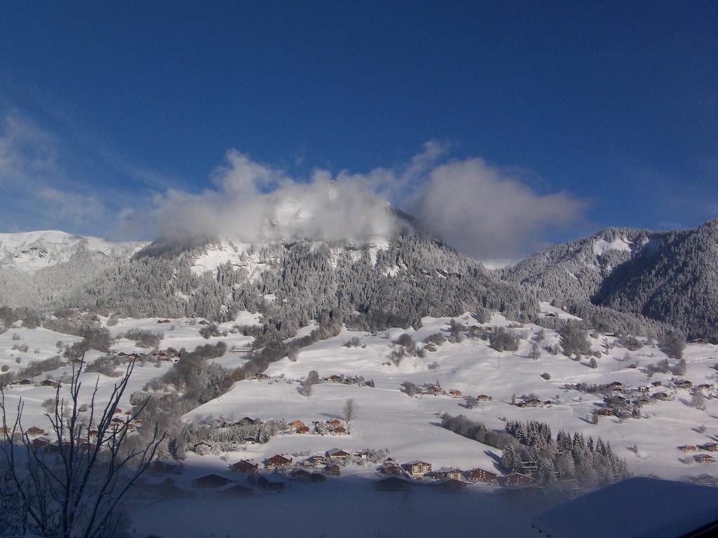 Hôtel Les Bernards Praz-sur-Arly Exterior foto